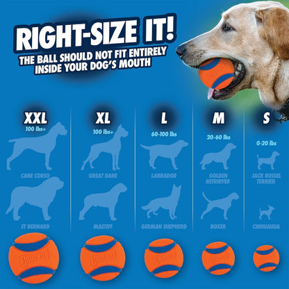 Chuckit! Ultra Ball Medium Dog Toy - Bouncy Fetch Balls for Dogs 20-60 lbs - Durable Rubber Construction - Floating Water Toys - 2.5-Inch Diameter - Pack of 3