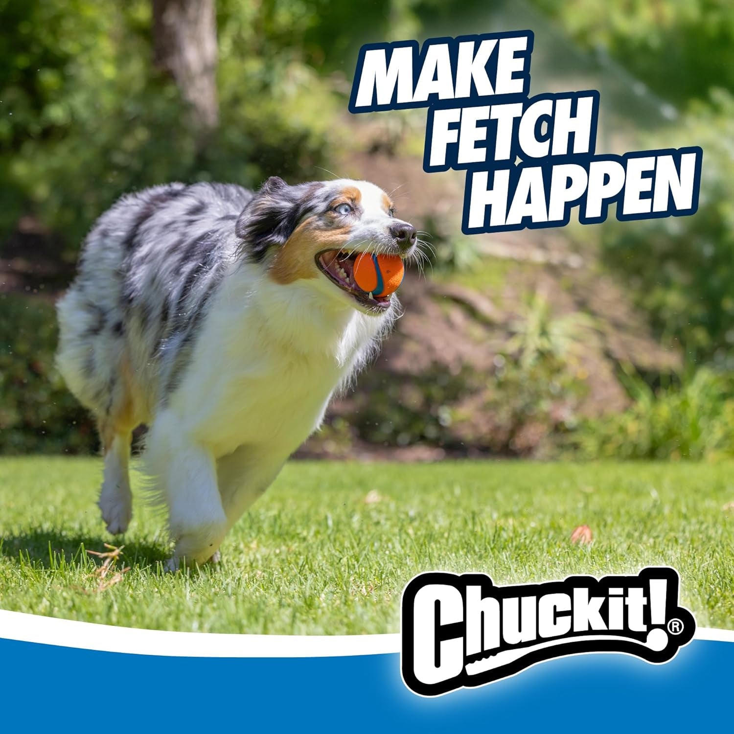 Chuckit! Ultra Ball Medium Dog Toy - Bouncy Fetch Balls for Dogs 20-60 lbs - Durable Rubber Construction - Floating Water Toys - 2.5-Inch Diameter - Pack of 3