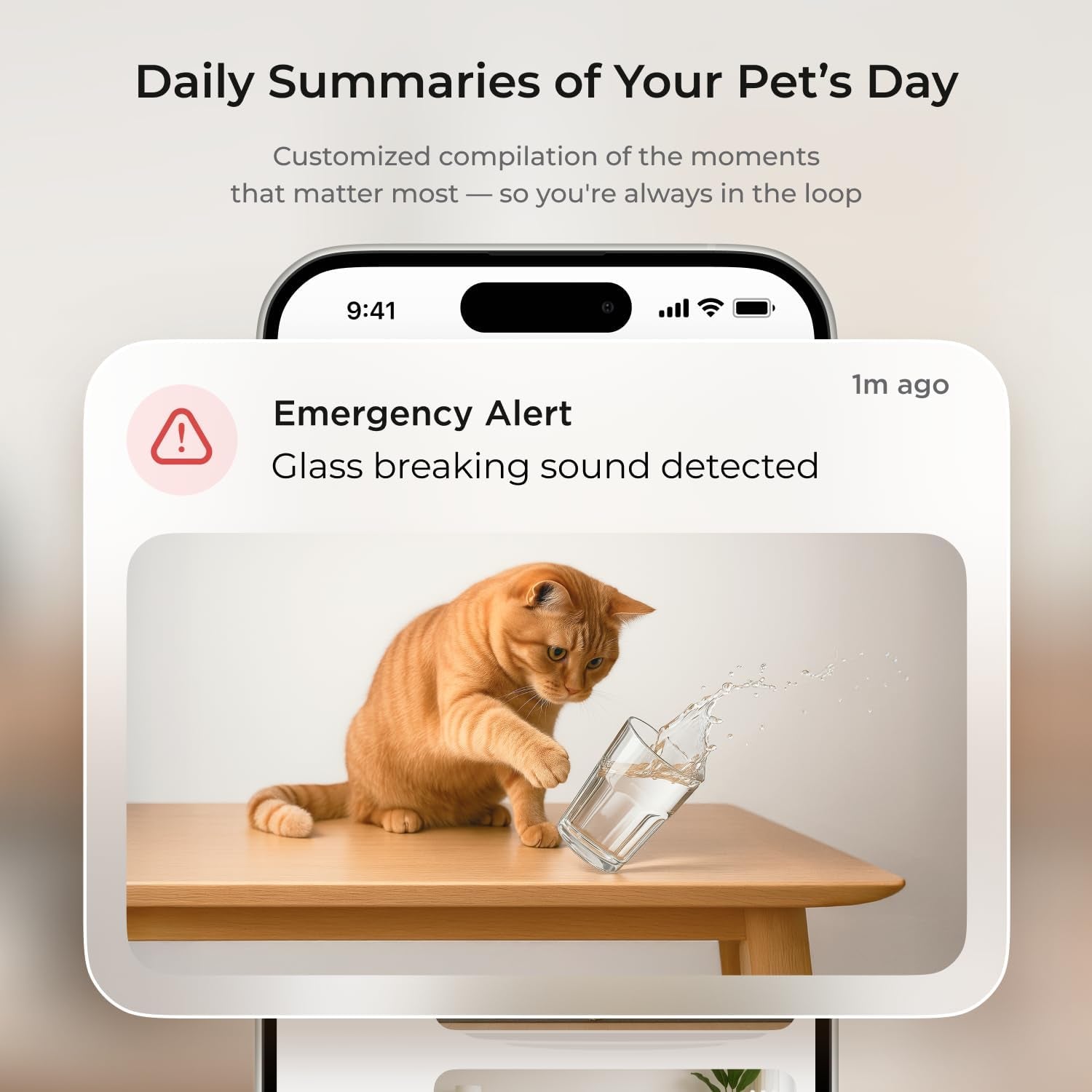 Petcube Cam 360° Interactive Wi-Fi Security Camera for Pets and Home with Mobile App, 1080P HD Video, Pan-Tilt Functionality, Night Vision, and AI Alerts