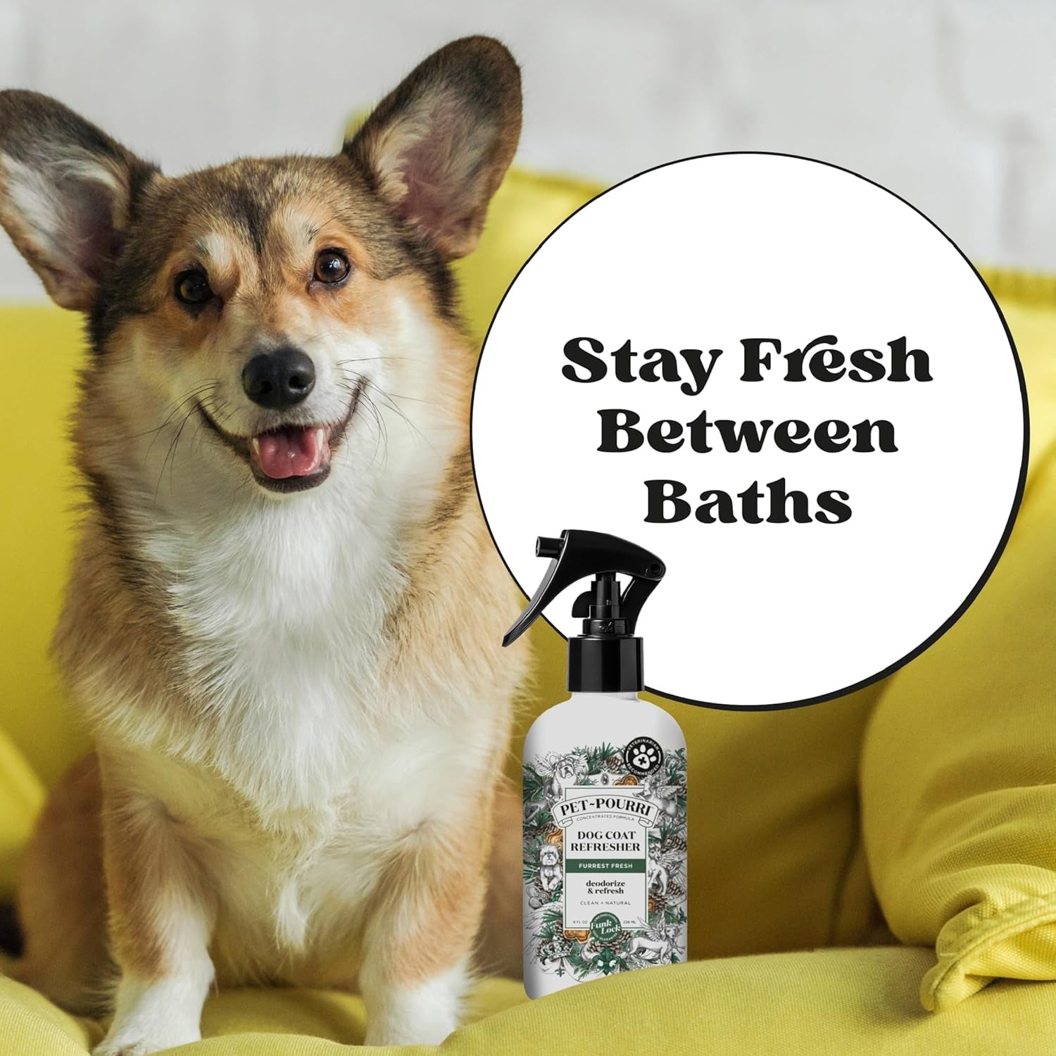 Poo-Pourri Furrest Fresh Dog Deodorizing Spray, 8 Fl Oz - Essential Oil Pet Odor Neutralizer with Fir, Amber, and Cedarwood Scent, Vet Recommended, Paraben & Sulfate-Free
