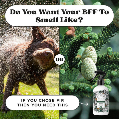 Poo-Pourri Furrest Fresh Dog Deodorizing Spray, 8 Fl Oz - Essential Oil Pet Odor Neutralizer with Fir, Amber, and Cedarwood Scent, Vet Recommended, Paraben & Sulfate-Free