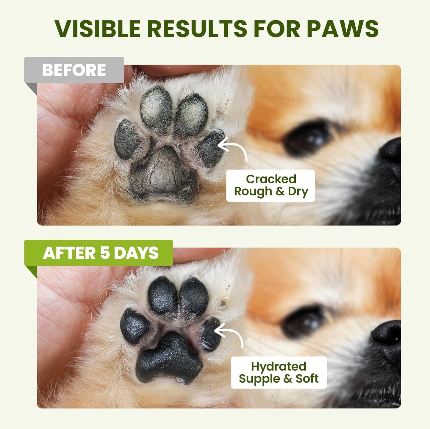 Pawsono Lick-Safe Dog Paw and Nose Balm with Coconut Oil | All-Natural Moisturizer for Dry, Cracked Pads and Snouts | Protective Wax for Hot Pavement and Sand | 2.1 Oz (60 G)